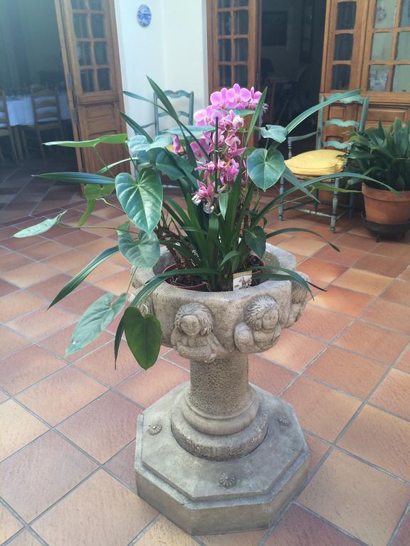 Mas De Vence - Hotel-Restaurant Luaran gambar