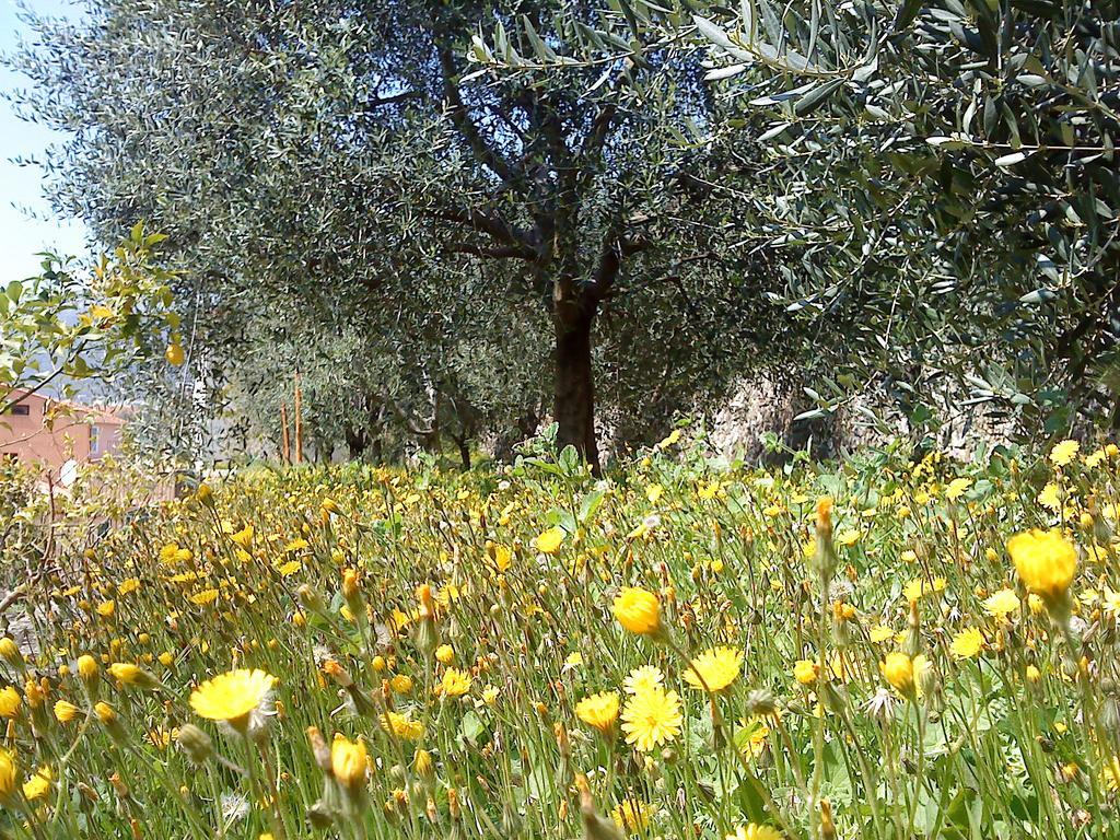 Mas De Vence - Hotel-Restaurant Luaran gambar