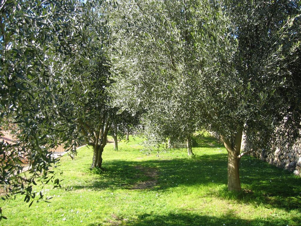Mas De Vence - Hotel-Restaurant Luaran gambar